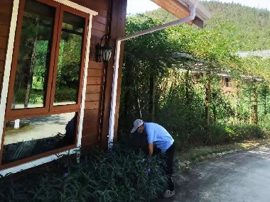 長安殺蟲滅鼠站——外環(huán)境專用滅鼠器優(yōu)勢