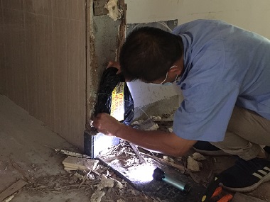 虎門白蟻備案站：防治白蟻有三個步驟來防備