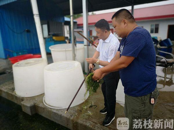 漁村小農(nóng)民的成長之路，從田野到未來的勵志之旅