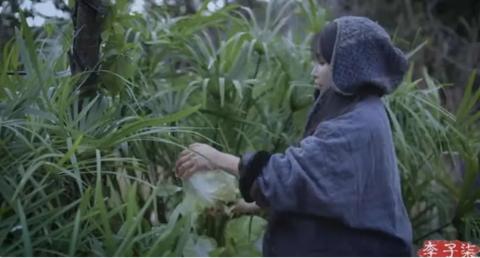 李子柒視頻最新,李子柒視頻最新回顧，東方美食文化的國(guó)際使者