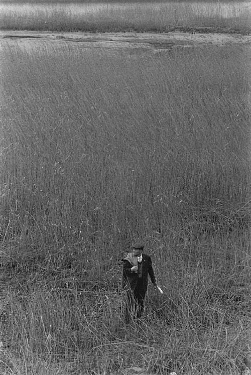 茨城最新殺人案，高科技產(chǎn)品的變革重塑生活體驗(yàn)