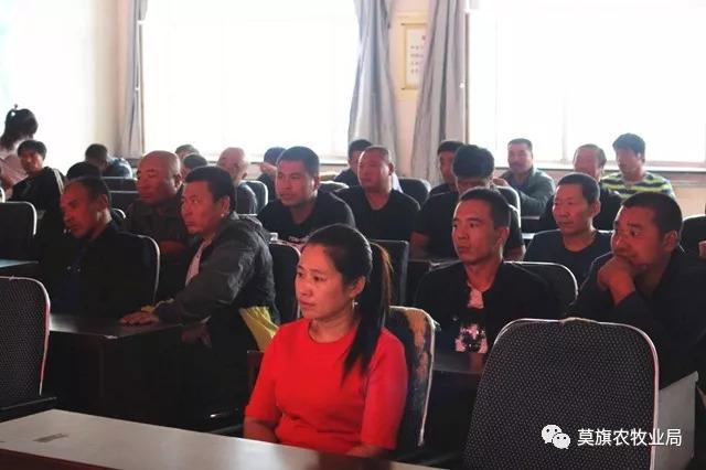 莫旗最新通告,莫旗最新通告的觀點(diǎn)論述