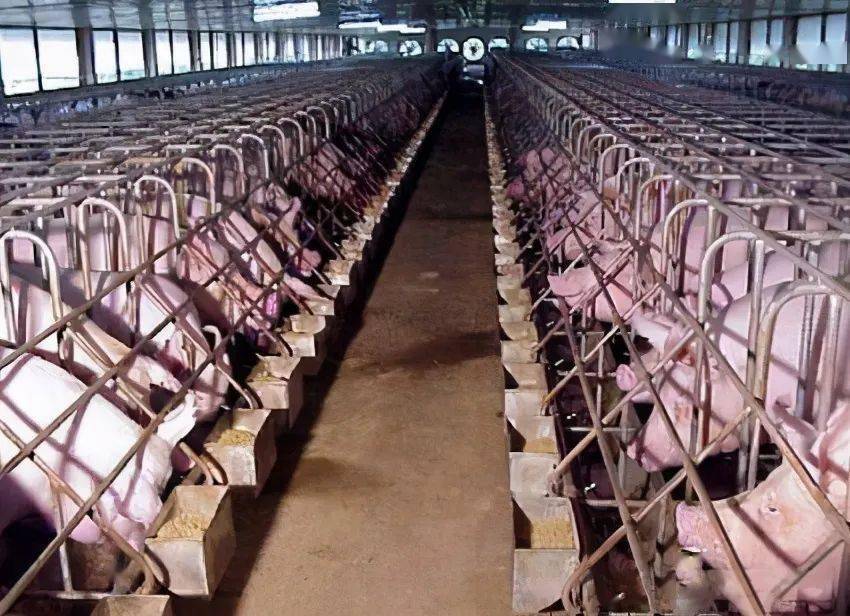 體育用品 第375頁