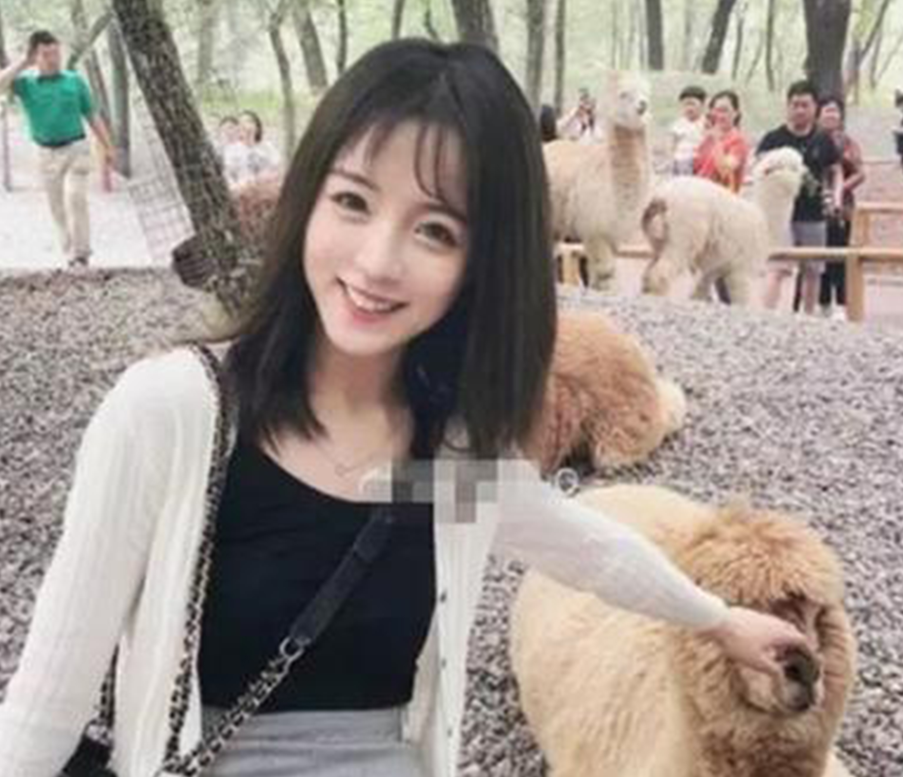 莉哥最新信息及深度解析