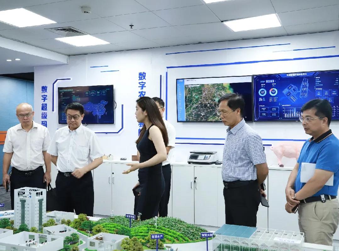 碼客寫作，鍵盤間綻放的自信與成就之光