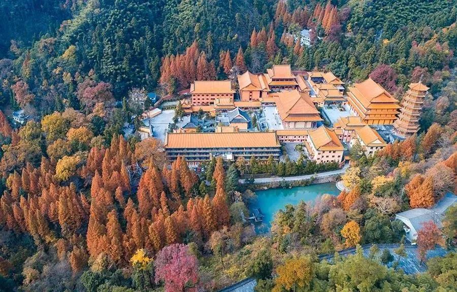 聽伴最新下載，小巷深處的音樂寶藏探秘