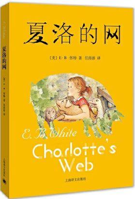 大人網(wǎng)最新版，日常趣事與情感交流的平臺