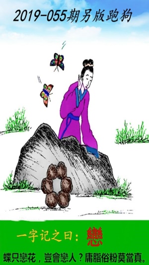 2024今晚澳門跑狗圖,全面性解釋說明_溫馨版9.221