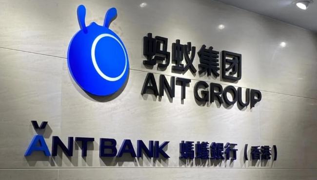 螞蟻集團最新調(diào)整動態(tài)，小巷探索中的意外驚喜