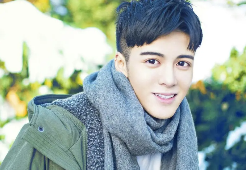 陸姓明星的成功秘訣，揭秘他們的勵(lì)志之路與秘訣學(xué)習(xí)之道