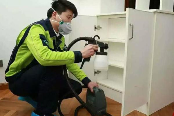 無錫小巷深處的綠色呼吸秘密，除甲醛價格與呼吸新鮮空氣的權(quán)益