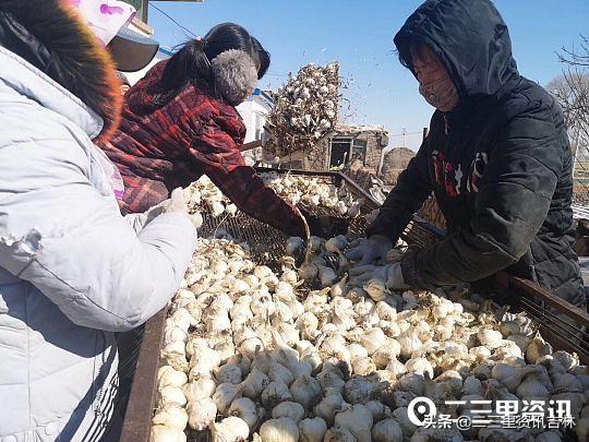 白城美食探秘，小巷深處的獨特風(fēng)味與隱藏的美食寶藏