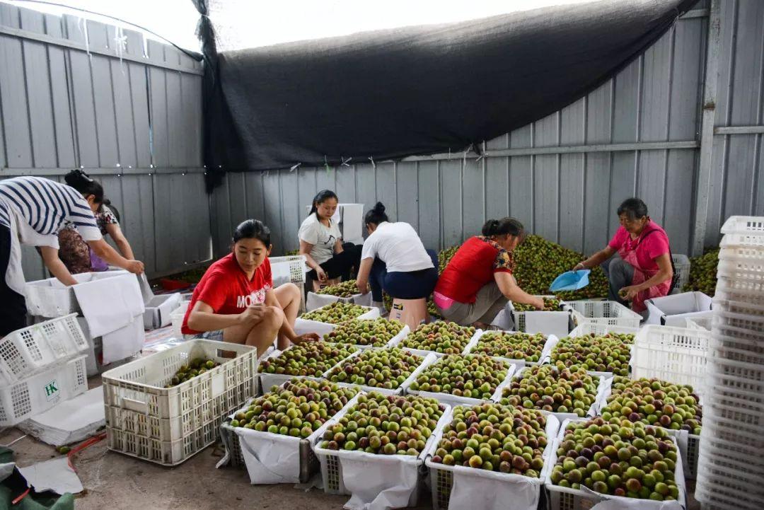 云南擬上市，進(jìn)展、背景及影響分析