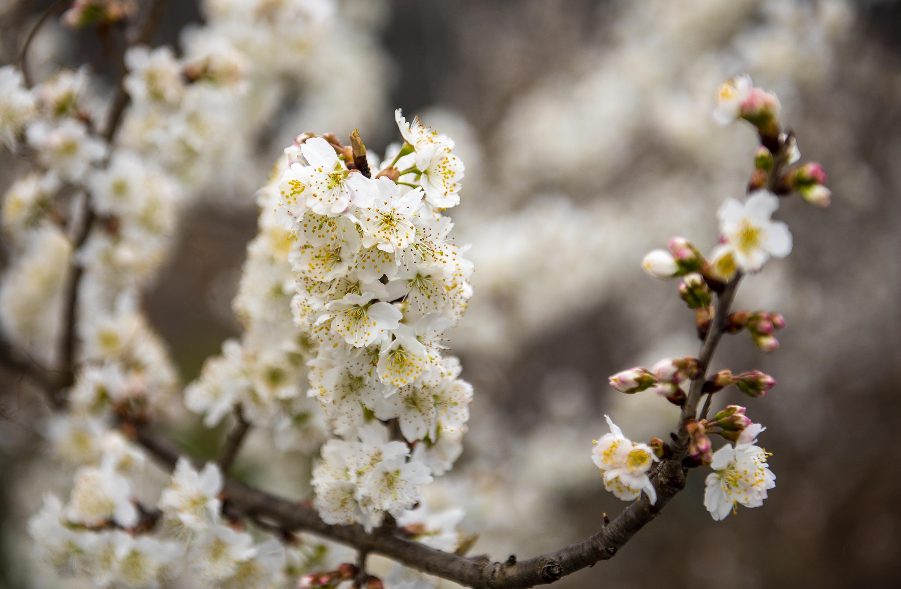 貴州夾巖水庫實(shí)景圖，水韻人生勵(lì)志篇章