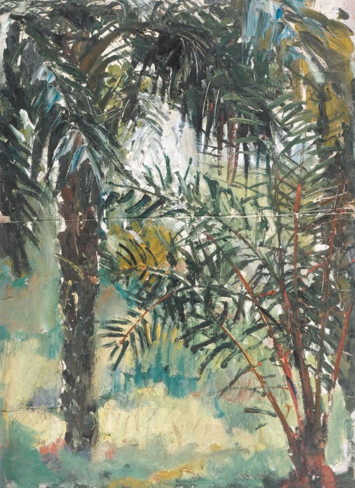 體育用品 第156頁(yè)