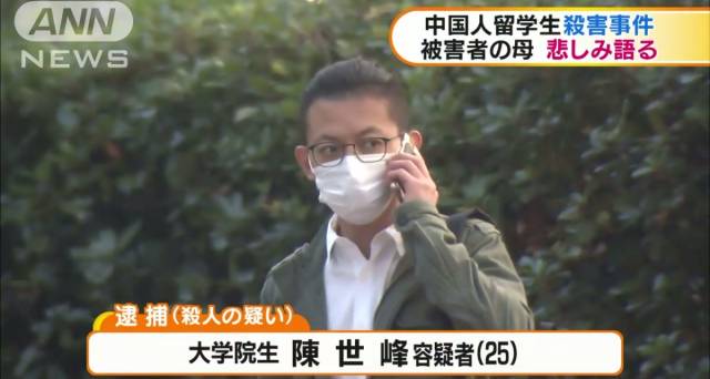 江歌最新動態(tài),江歌最新動態(tài)，探索留學生活的新篇章