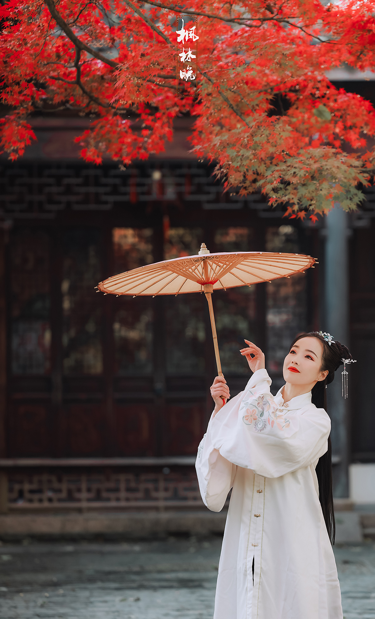 楓林晚最新地址及其歷史背景、重要事件與地位的深度探究