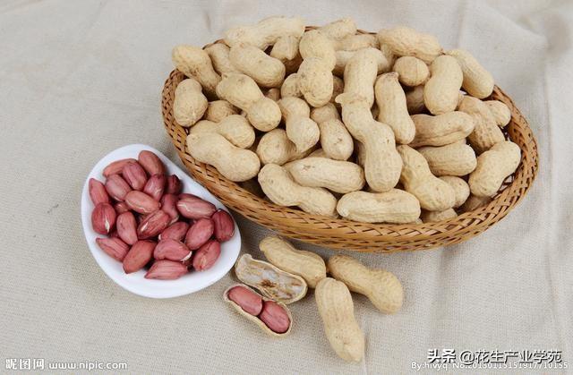 遼寧黑山姜屯最新動態(tài)報道