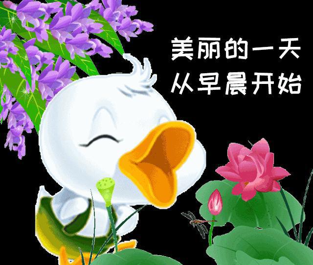 最新微信動(dòng)態(tài)圖片時(shí)尚潮流合集，掌握最新動(dòng)態(tài)，盡在指尖之間