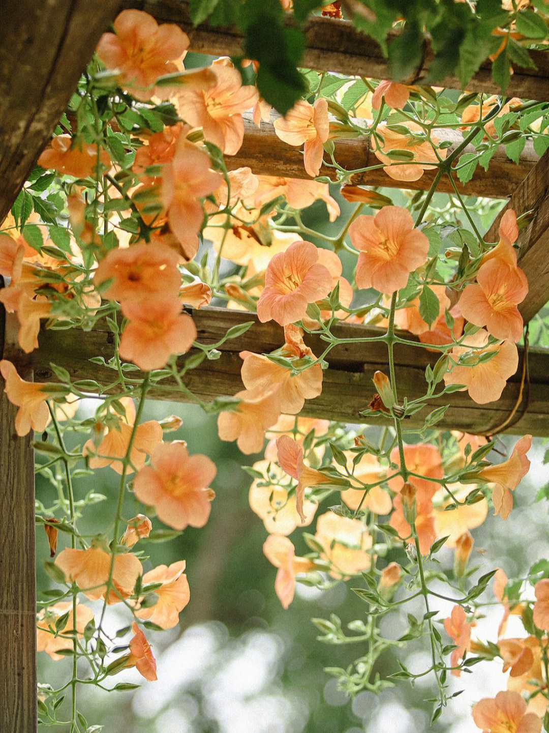 路燈設(shè)備 第72頁(yè)