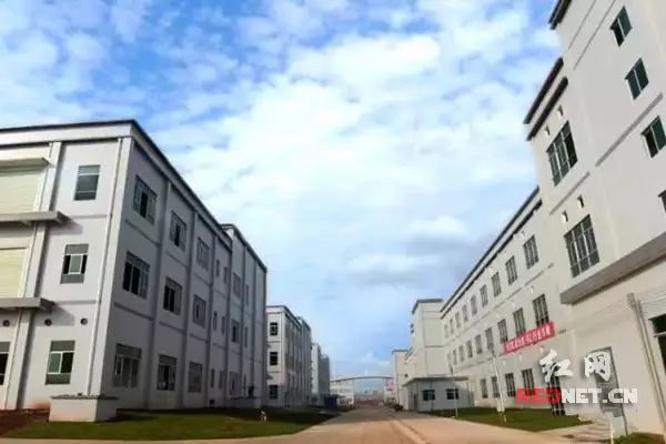 瀏陽藍(lán)思科技最新招聘信息發(fā)布