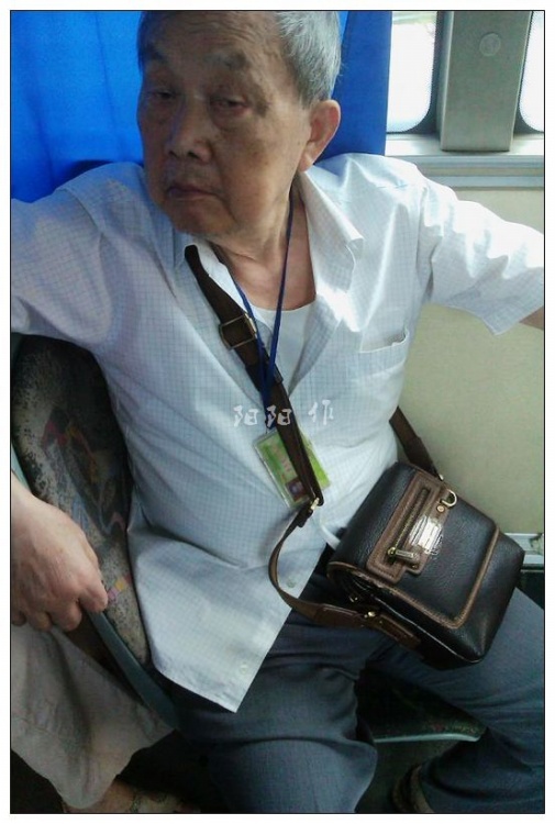 小巷深處的神秘小店，最新戀老小說大揭秘